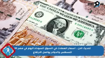 تحديث الآن.. أسعار العملات في السوق السوداء اليوم في مصر 30 أغسطس والدولار يواصل الارتفاع